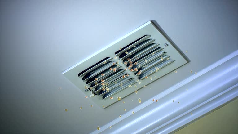 Best Air Duct Cleaning Near Me  in Apple Valley, UT